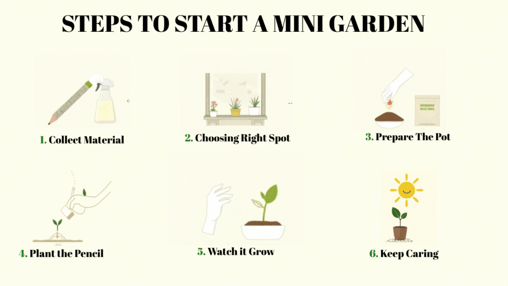 steps to start a minigarden