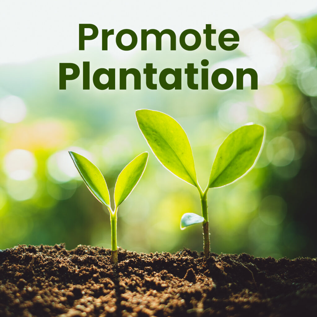 promote-plantation-by -relife