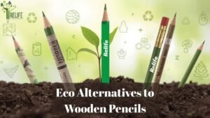 Eco Alternatives to Wooden Pencils