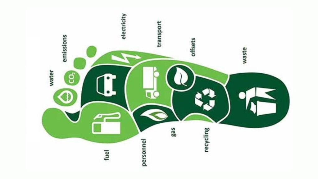 Environmental Footprints: Light vs Heavy