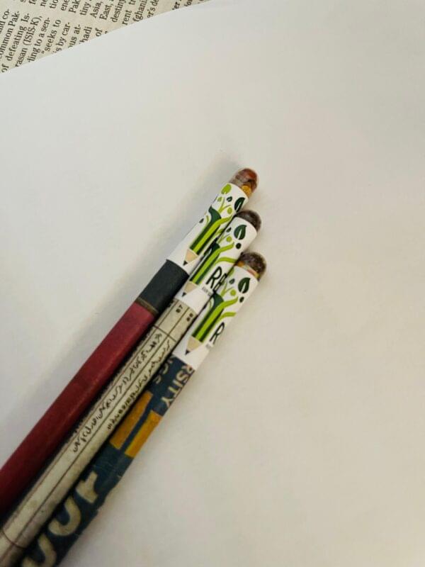 Eco Pencils with Seeds Box - Image 3